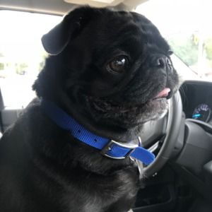 Meet your Posher, Angie